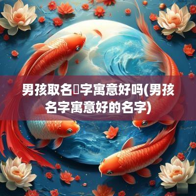男孩取名珝字寓意好吗(男孩名字寓意好的名字)