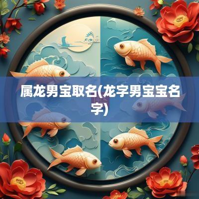 属龙男宝取名(龙字男宝宝名字)