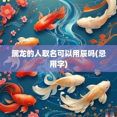 属龙的人取名可以用辰吗(忌用字)