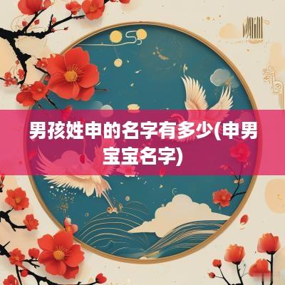 男孩姓申的名字有多少(申男宝宝名字)