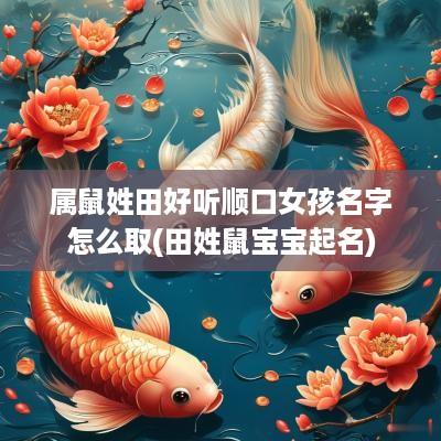 属鼠姓田好听顺口女孩名字怎么取(田姓鼠宝宝起名)