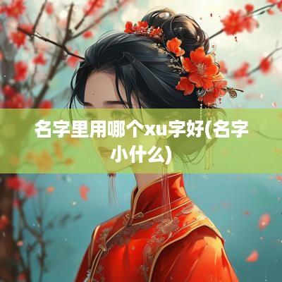 名字里用哪个xu字好(名字小什么)