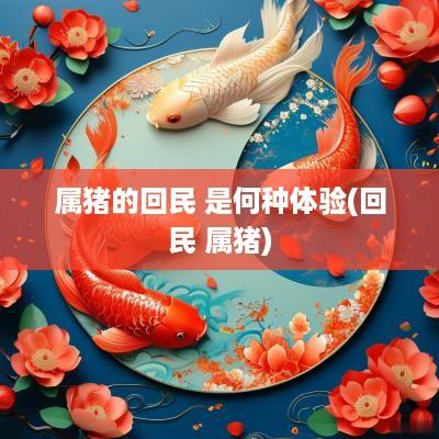 属猪的回民 是何种体验(回民 属猪)