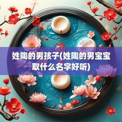 姓陶的男孩子(姓陶的男宝宝取什么名字好听)