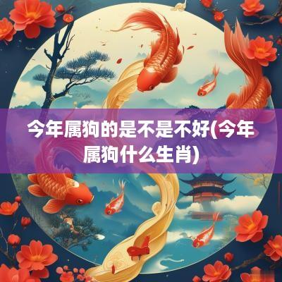 今年属狗的是不是不好(今年属狗什么生肖)