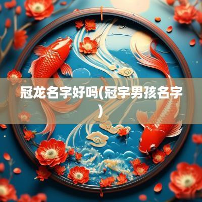 冠龙名字好吗(冠宇男孩名字)