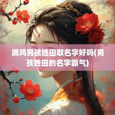 属鸡男孩姓田取名字好吗(男孩姓田的名字霸气)