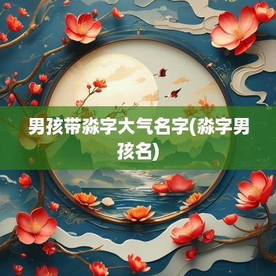 男孩带淼字大气名字(淼字男孩名)