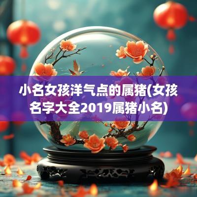 小名女孩洋气点的属猪(女孩名字大全2019属猪小名)