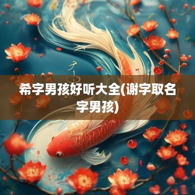 希字男孩好听大全(谢字取名字男孩)