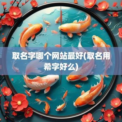 取名字哪个网站最好(取名用希字好么)
