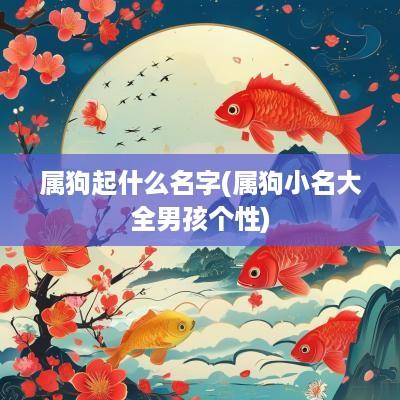 属狗起什么名字(属狗小名大全男孩个性)