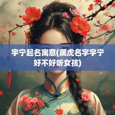 宇宁起名寓意(属虎名字宇宁好不好听女孩)