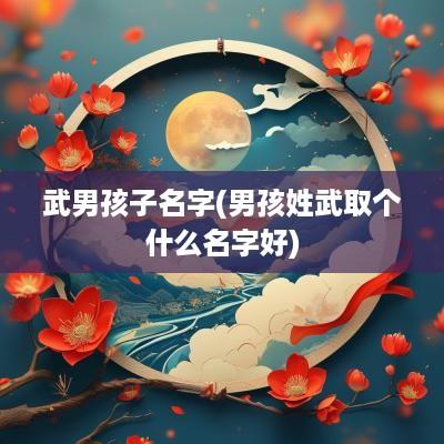 武男孩子名字(男孩姓武取个什么名字好)