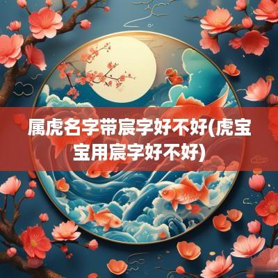 属虎名字带宸字好不好(虎宝宝用宸字好不好)