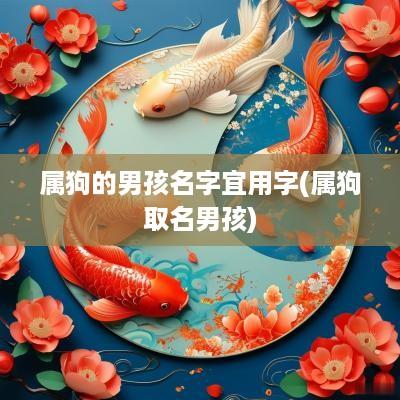 属狗的男孩名字宜用字(属狗取名男孩)