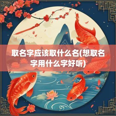 取名字应该取什么名(想取名字用什么字好听)