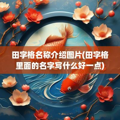 田字格名称介绍图片(田字格里面的名字写什么好一点)