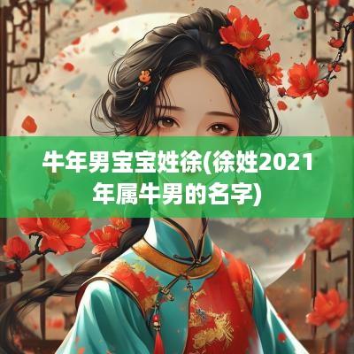 蛇年男宝宝姓徐(徐姓2025年属牛男的名字)