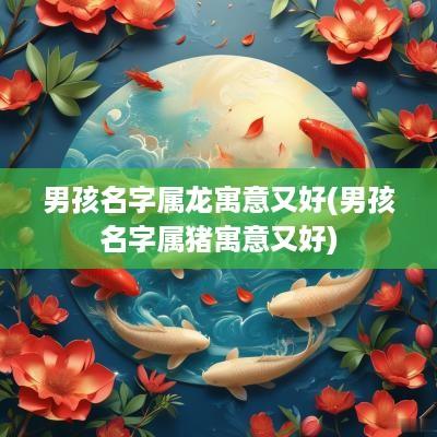 男孩名字属龙寓意又好(男孩名字属猪寓意又好)