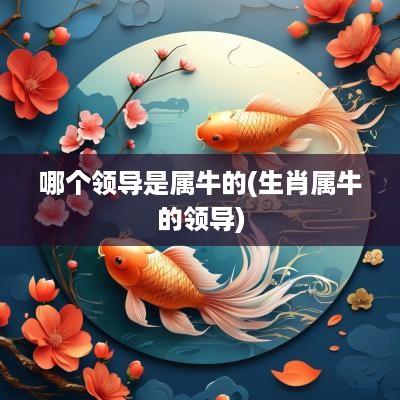 哪个领导是属牛的(生肖属牛的领导)