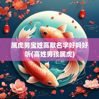 属虎男宝姓高取名字好吗好听(高姓男孩属虎)