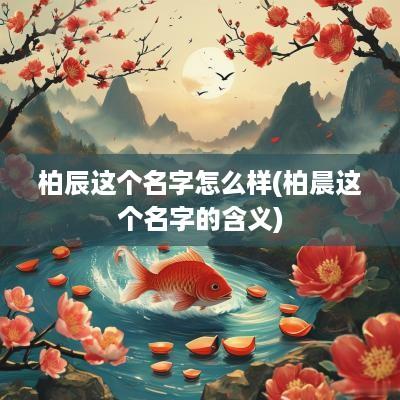 柏辰这个名字怎么样(柏晨这个名字的含义)