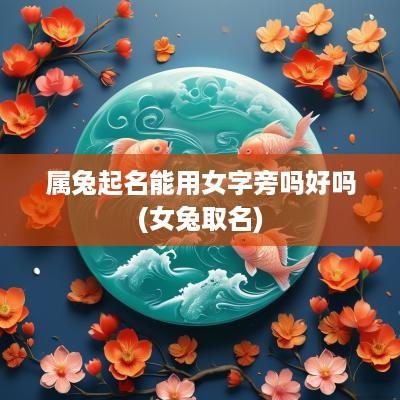 属兔起名能用女字旁吗好吗(女兔取名)