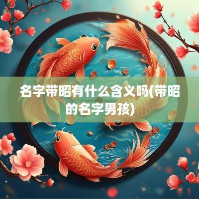 名字带昭有什么含义吗(带昭的名字男孩)