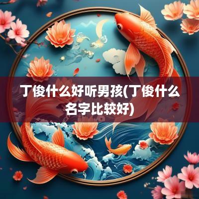 丁俊什么好听男孩(丁俊什么名字比较好)
