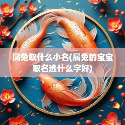 属兔取什么小名(属兔的宝宝取名选什么字好)