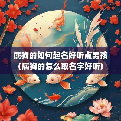 属狗的如何起名好听点男孩(属狗的怎么取名字好听)