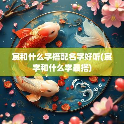 宸和什么字搭配名字好听(宸字和什么字最搭)