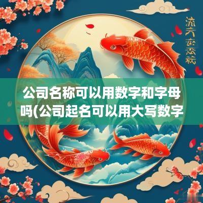 公司名称可以用数字和字母吗(公司起名可以用大写数字吗为什么)