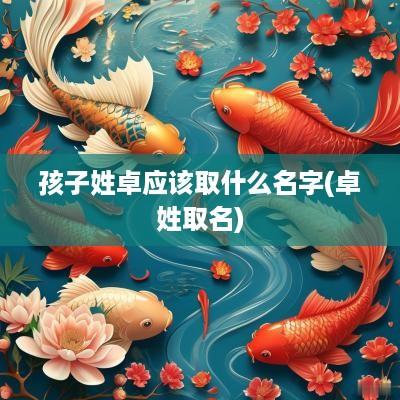 孩子姓卓应该取什么名字(卓姓取名)