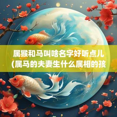 属猴和马叫啥名字好听点儿(属马的夫妻生什么属相的孩子好)
