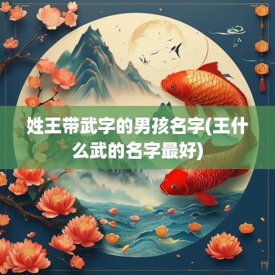 姓王带武字的男孩名字(王什么武的名字最好)