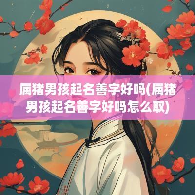 属猪男孩起名善字好吗(属猪男孩起名善字好吗怎么取)