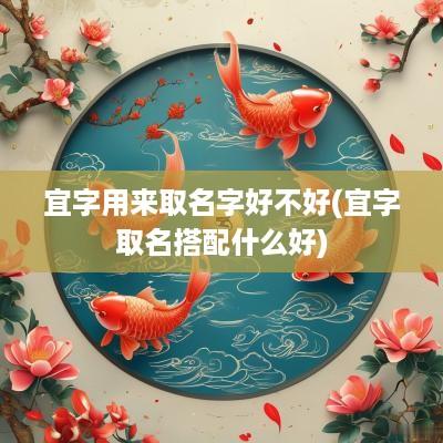 宜字用来取名字好不好(宜字取名搭配什么好)