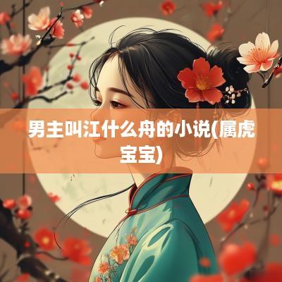 男主叫江什么舟的小说(属虎宝宝)