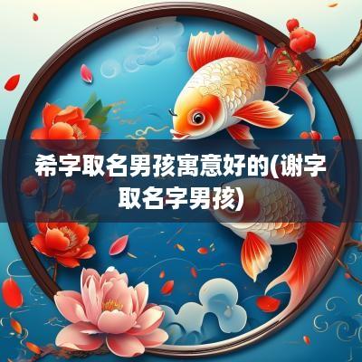 希字取名男孩寓意好的(谢字取名字男孩)