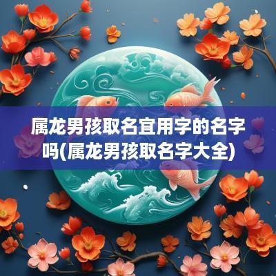属龙男孩取名宜用字的名字吗(属龙男孩取名字大全)