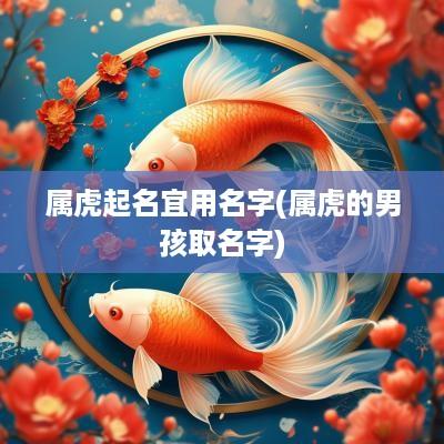 属虎起名宜用名字(属虎的男孩取名字)