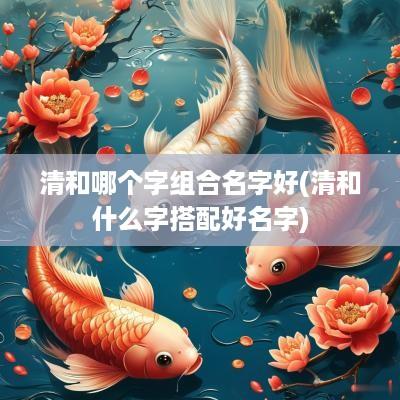 清和哪个字组合名字好(清和什么字搭配好名字)