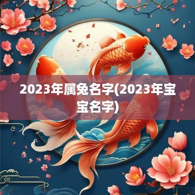 2025年属兔名字(2025年宝宝名字)