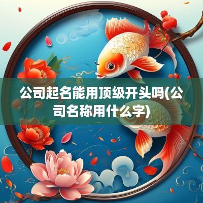 公司起名能用顶级开头吗(公司名称用什么字)