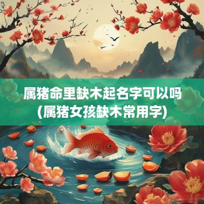 属猪命里缺木起名字可以吗(属猪女孩缺木常用字)