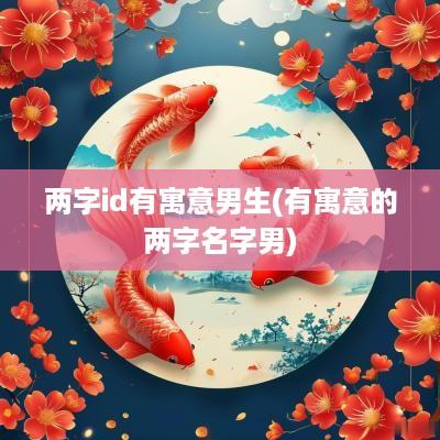 两字id有寓意男生(有寓意的两字名字男)