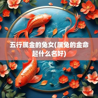 五行属金的兔女(属兔的金命起什么名好)