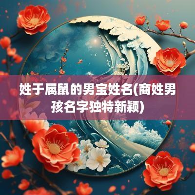 姓于属鼠的男宝姓名(商姓男孩名字独特新颖)